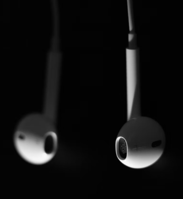 EARPHONES